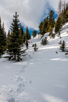 Phil breaks trail in the sugary, fresh snow.