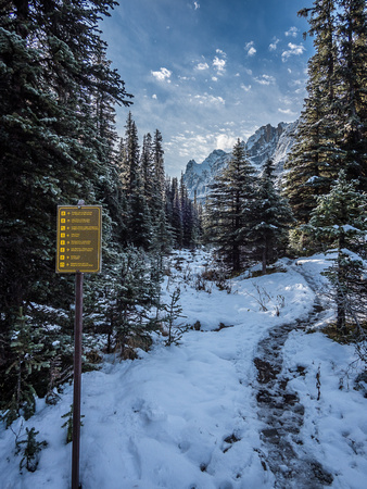 Even the lower Lake O'Hara trails are slick, icy and snowy today.
