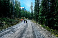 The Lake O'Hara road is long at around 11km and gains about 450m of height too - not insignificant on a long day like scrambling Park Mountain.