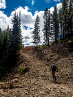 There are many ways down and up McGillivray Ridge - logging roads will get you a good ways along but eventually you'll either be on game trails, dirt bike trails or your own track through light bush.