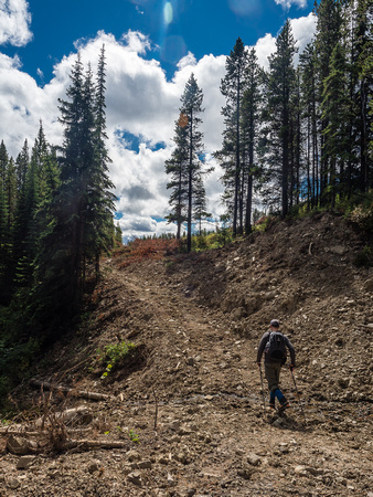 There are many ways down and up McGillivray Ridge - logging roads will get you a good ways along but eventually you'll either be on game trails, dirt bike trails or your own track through light bush.