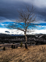 A lonely tree near the summit with the Chinook arch. Mountains in the distance include Junction and Pyriform.