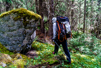 Make no mistake about it - there is bushwhacking involved in the Totem Creek valley! The faint trail doesn't last long.