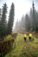 Into the wild... Shortly after leaving the truck we continue up the old logging road, into thick cloud and light rain.