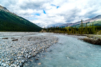 Crossing the Sunwapta River was easy in late summer.