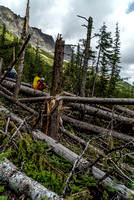 I couldn't believe how big (and old) a lot of the trees were that simply snapped off at the force of the avalanche.