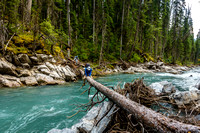 Crossing the deep and fast Palliser River au Chavel on a bouncy log.
