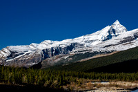 I found Whitehorn Mountain to be a very striking and beautiful peak from the Berg Lake area. It's on my list.