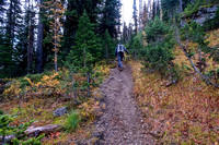 Hiking the Tamarack Trail / GDT between Twin Lakes and Lone Lake.