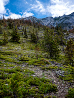 Scree slog to the ridge - note the orange trees above which is pine beetle damage.