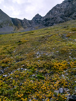 Fall colors are coming out as I work up to the col.
