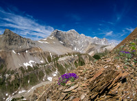 Awesome scenery continues on the brown shale. This is looking towards the Palliser Range which only has one named summit