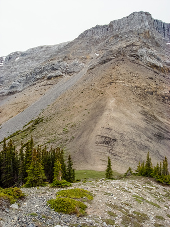 The ascent route to the summit block of Miette goes through the rock bands running from upper right to lower center of picture.