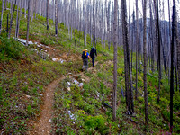 Wietse and Jeff set a brisk pace up the trail through burnt forest.