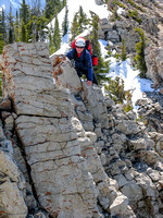 On the cockscomb section of the south ridge of Crandell.