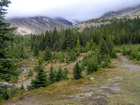 It's a grey day as we head up the Boulder Pass trail to the Hidden Lake turn off.