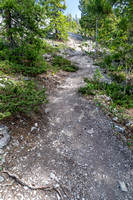 A steep but obvious trail through light forest.