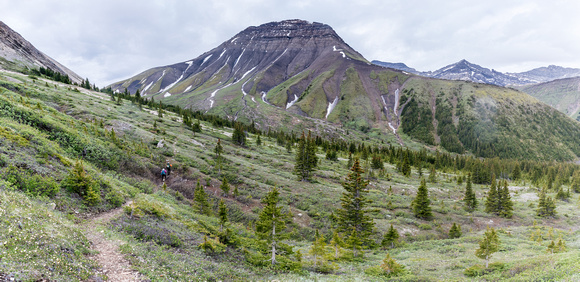 Descending Shale Pass towards Peters Creek and Chirp Peak with Divide Pass at left.