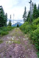 Following the Paradise Lake trail which starts as a road.