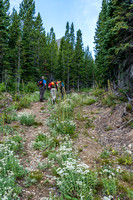 Following the Paradise Lake trail which starts as a road.