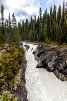 Impressive view of the raging Yoho River from just off the trail.