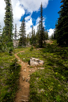 The trail up Waterfall Valley is distinct until treeline.