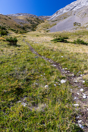 The trail continues up the drainage.
