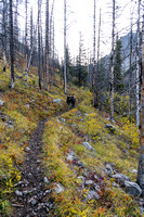 The Buller Pass trail is in good fall conditions.