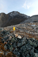 A Banff National Park boundary marker with the summit of Carrot Peak above.