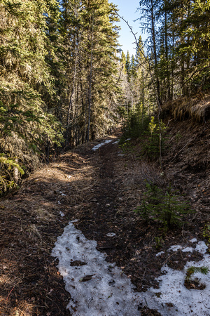 Although the trail starts out reasonably dry, there are lingering patches of freaking snow almost right away.