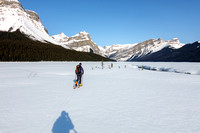 Skiing onto the Hector Lake flats along the Bow River.