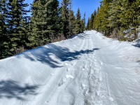 The OHV track is plowed, making the snowshoes unnecessary.
