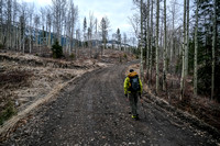 Starting on a fairly recent logging road. During logging season you might have to park on Corbin Rd.