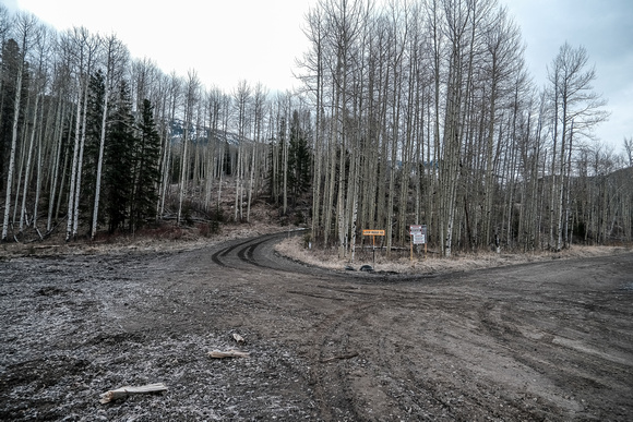 Starting on a fairly recent logging road. During logging season you might have to park on Corbin Rd.