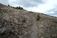 On a good trail heading up the south ridge of Saskatoon Mountain.