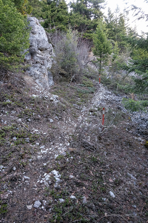 An obvious trail up the base of the SE ridge. There's more than one trail here.