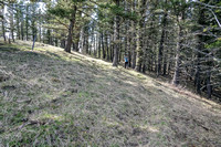 Hiking along the N-S ridge on Black Mountain.