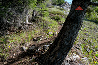 The "Fernie Trail Association" maintains the trail.