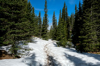 Snow on the trail.