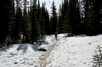 Snow on the trail.