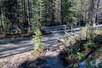 This was what my approach trail looked like thanks to a very high Little Elbow River.