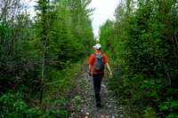 Walking up the Red Deer River / Cascade Fire Road trail.