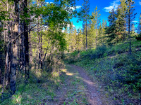 The trail along Baril Creek is a mix of pleasant and less pleasant biking / hiking.