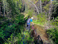 The trail along Baril Creek is a mix of pleasant and less pleasant biking / hiking.