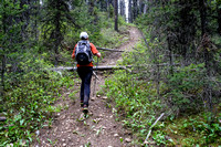The trail steepens and improves the higher you go.