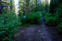 The Mist Creek Trail goes left, Mist Ridge to the right.