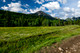 Mount McCarty (Click to Load Album)
