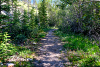 A smaller trail towards Whiterabbit Creek and William Booth.