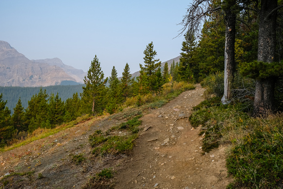 The trail is heavily used and eroded in places.