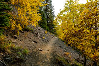 Returning back along the fall-colored trail.